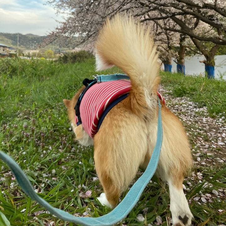 C7de4275 12dd 457a bdd5 baa574db2973 1680255544138