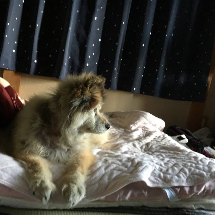 C7de534f 05d3 4b6b af4d fd48e8f069c7 1611528440095