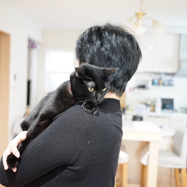 C7de6c7a ee90 4841 bfa0 cee26ae36180 1512703788152