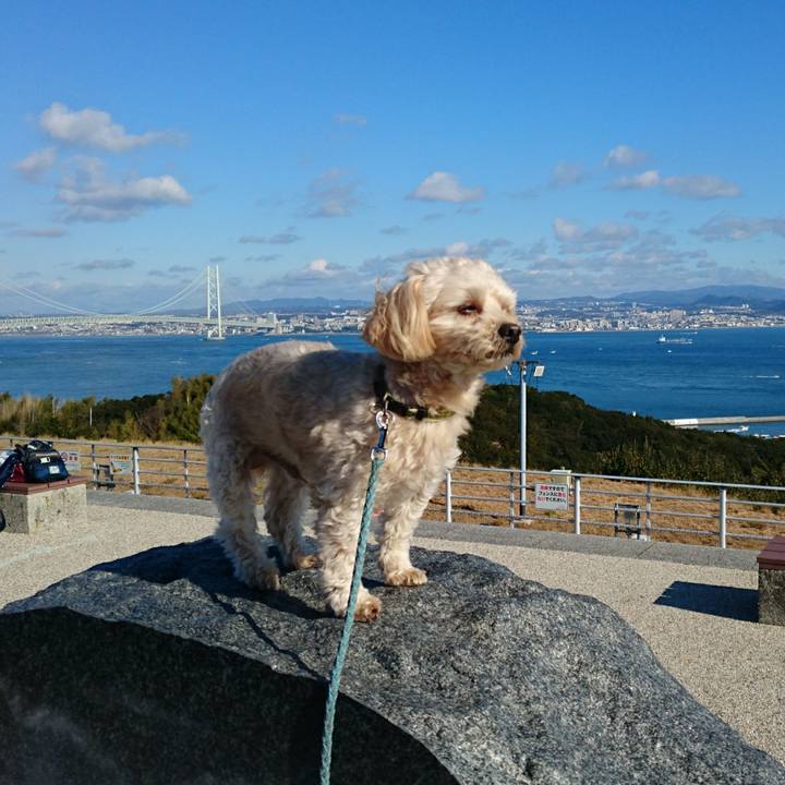 C7de7720 b00d 4b54 899b 62329710f08b 1577511125171