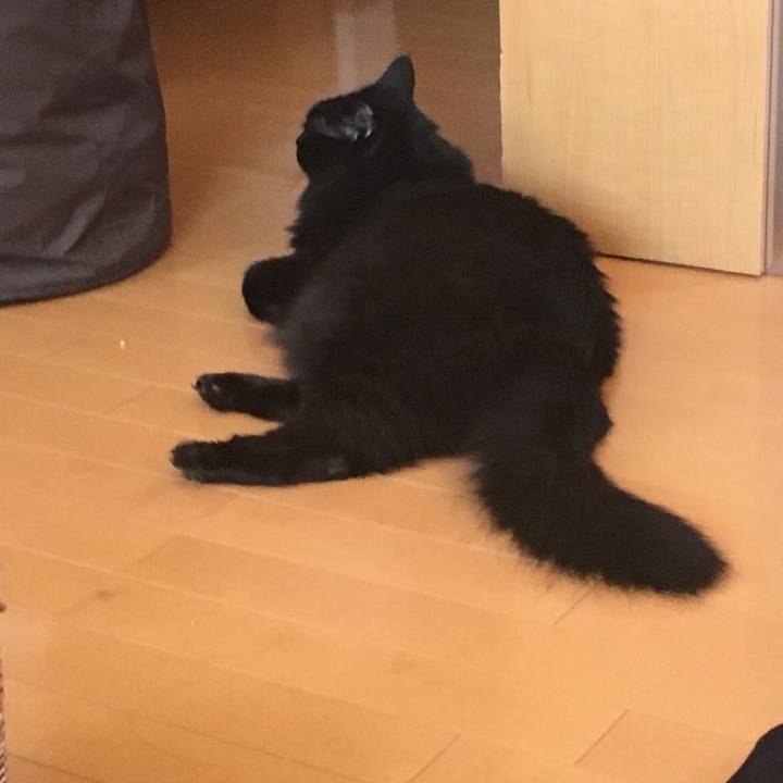 C7de7b5a 4b98 4364 8d37 7d99f2c1a3cf 1556945148185