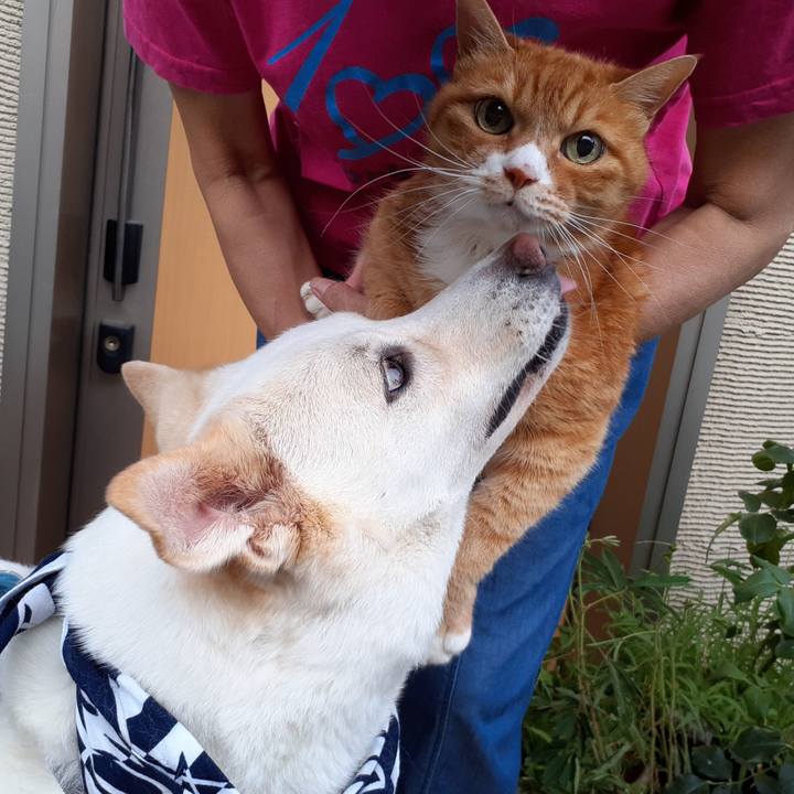 C7de7d93 0a50 4ea9 8fd6 91efdc2a76dc 1660007423061