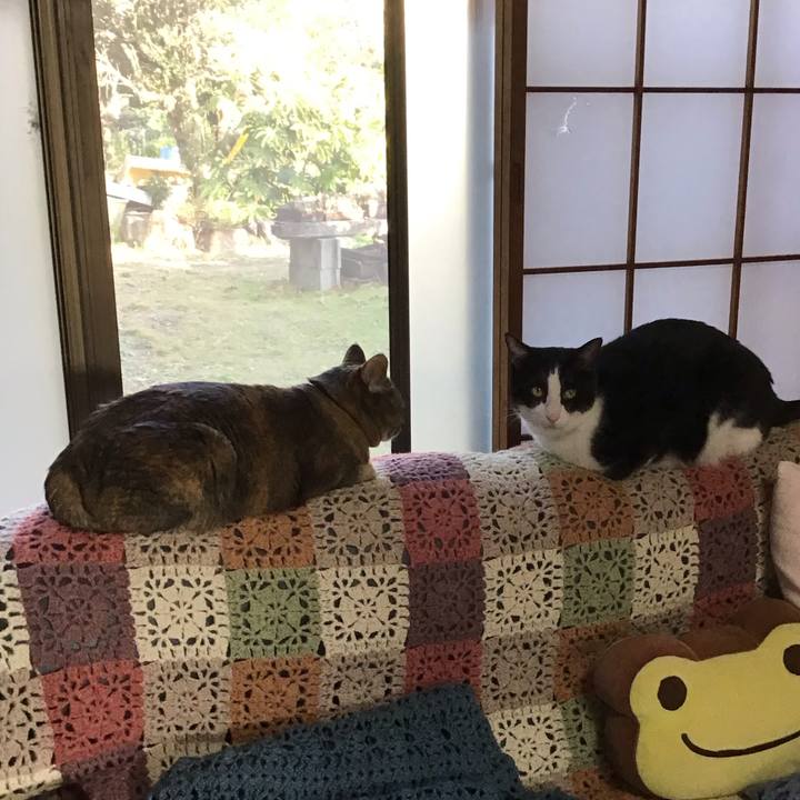 C7de9699 53f1 4597 a610 ab22502450fb 1708422396883