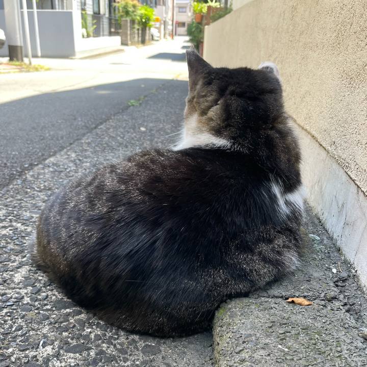 C7decd37 ab6e 447a a32f 15580876e83d 1653795379825