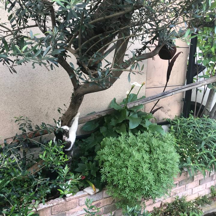 C7dee79c 4c2a 477a b0e6 10155541345a 1627299855622