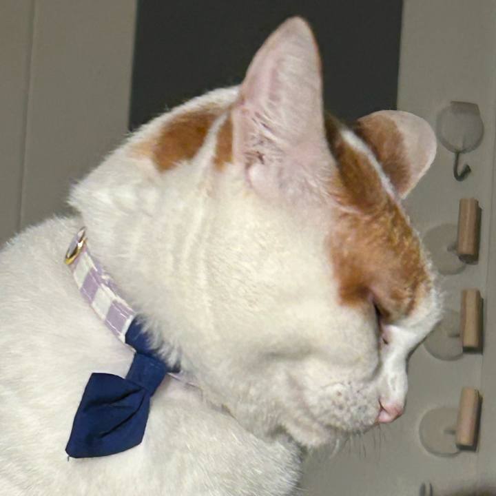 C7def1ef dbf7 4c08 9984 8b274dc7d22b 1761666548773