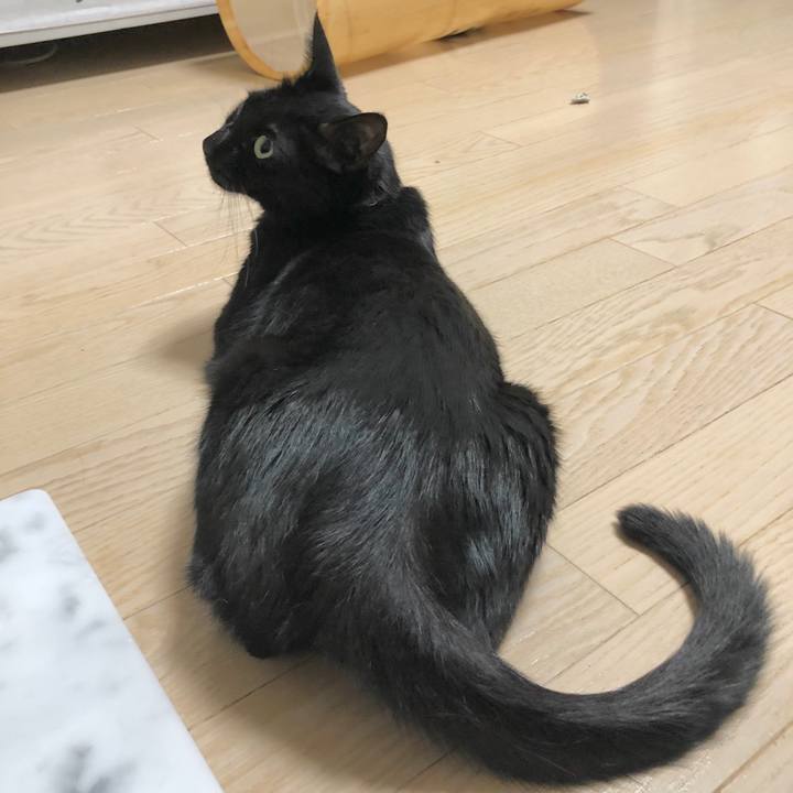 C7df0431 4521 4bc4 b462 e9de1dbb9b63 1600263065956