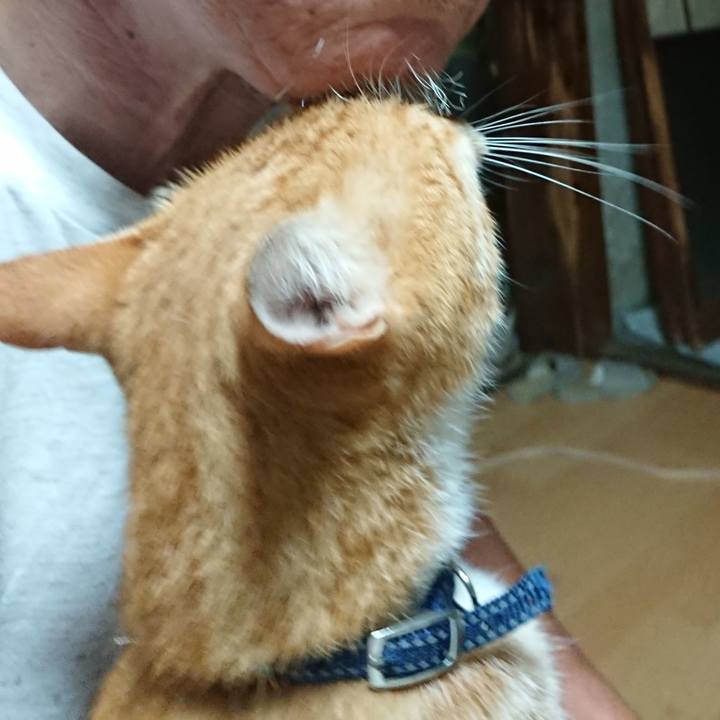 C7df4f1c 1d75 46b0 b7ef 907e56e79a37 1597440692457