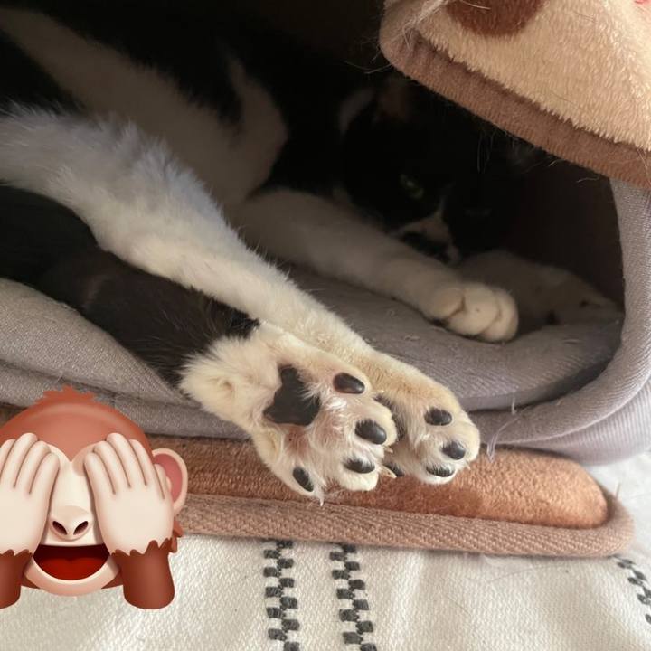 C7df89a4 4608 4435 9b9c e7bc64cce514 1703293912547