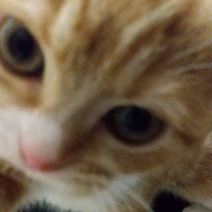 C7df93f2 3d1c 452e 84d5 17967d432684 1621423367604