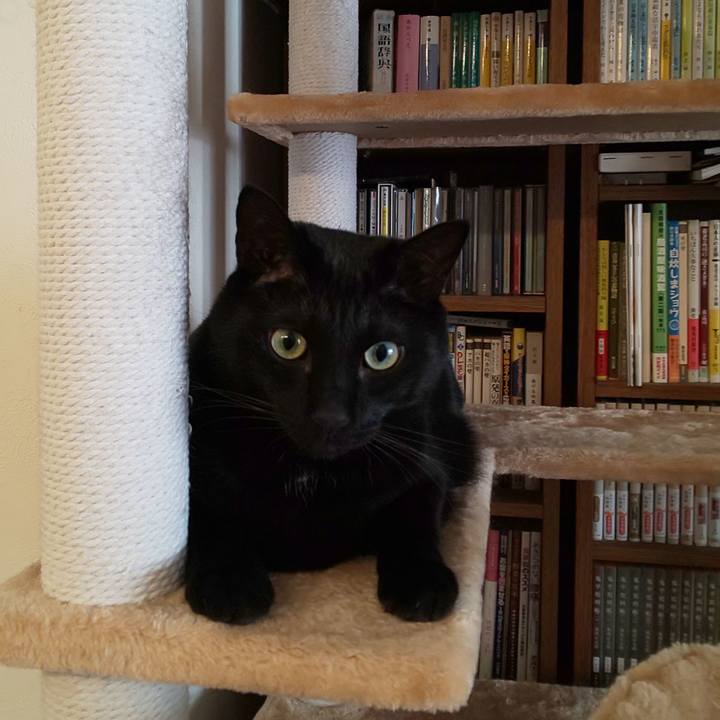 C7dfa4b0 11d4 446f 94c2 97e60a29c201 1617232488085