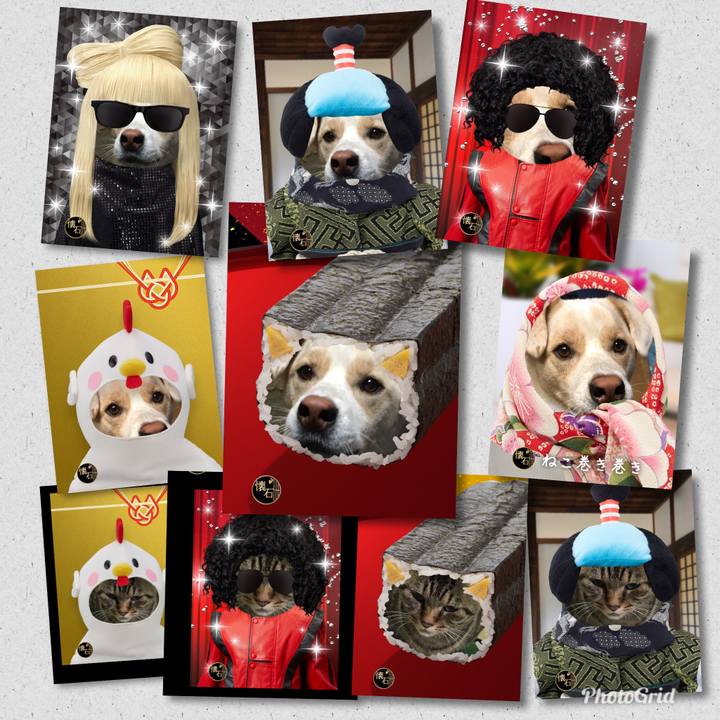 C7dfef10 1160 4a49 a535 401984cf2ae1 1509161848688