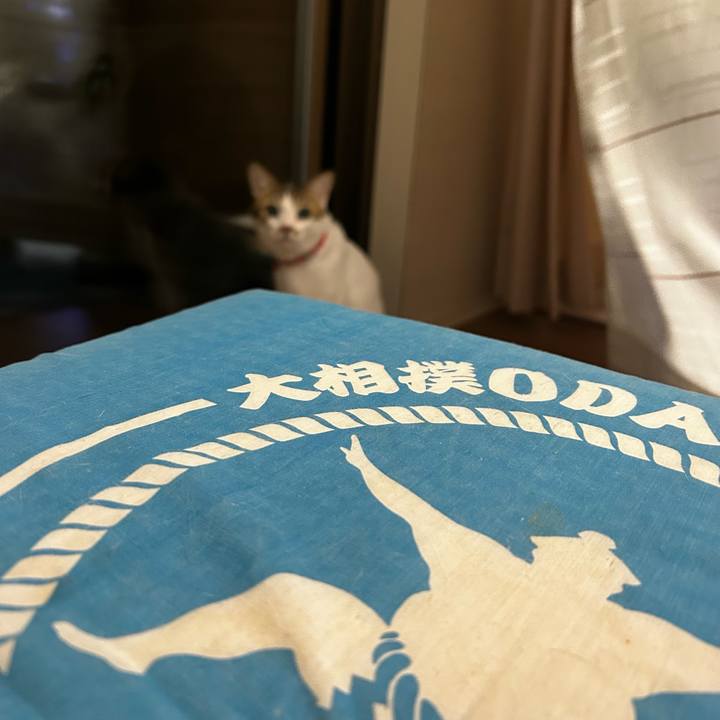 C7e00093 e1be 4db7 a2d0 386b4b635dd6 1757764572597