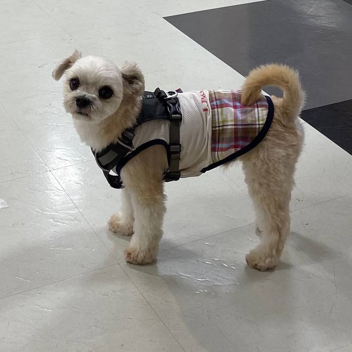 C7e029bc 40c0 4559 902c 11ea1e399e69 1569575575347