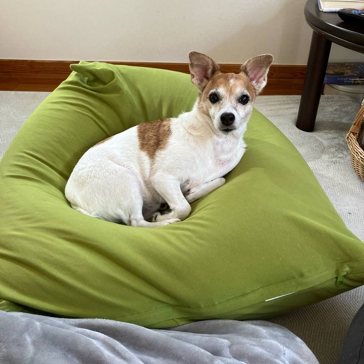 C7e056aa 4ce1 480f 91f0 b3d1431fd7cf 1763859409774