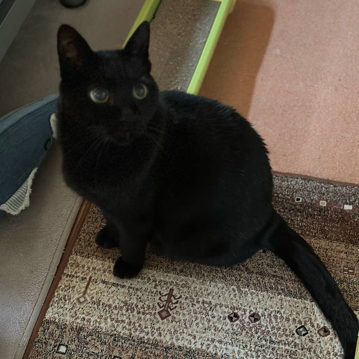 C7e05a71 e48a 4230 862d 7d4818f1e566 1674008696097