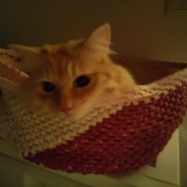 C7e07862 0698 42ef bd9b 4eaed69601bd 1687959249709