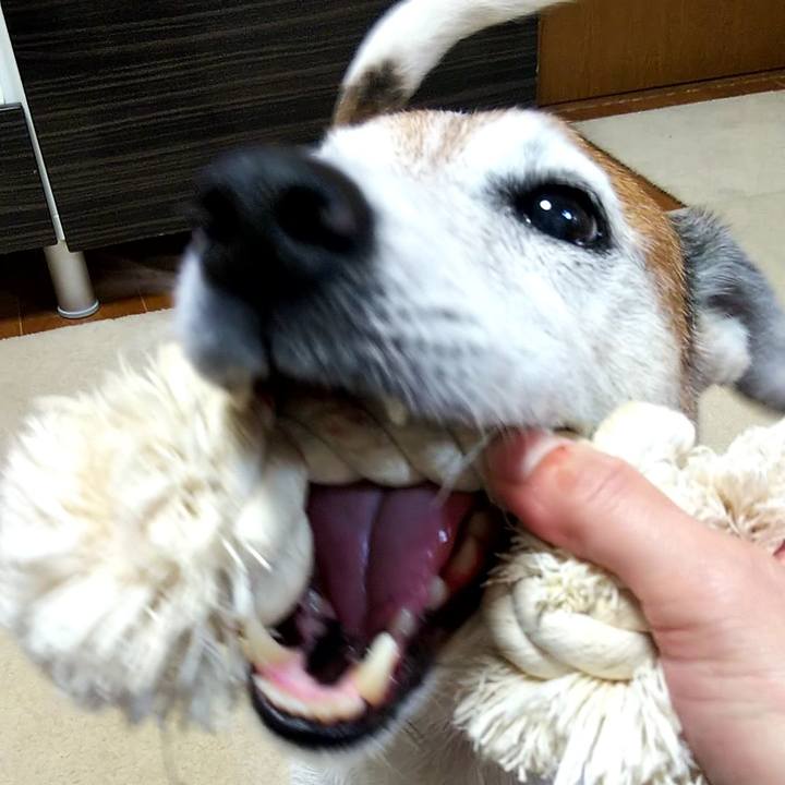 C7e0a7ad cd22 43ff 9b44 990ea38ab5d4 1561119075636