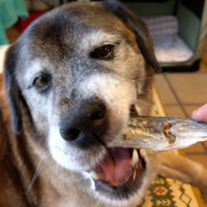 C7e0f861 0c96 4146 87a8 36045603f4a1 1527744122608