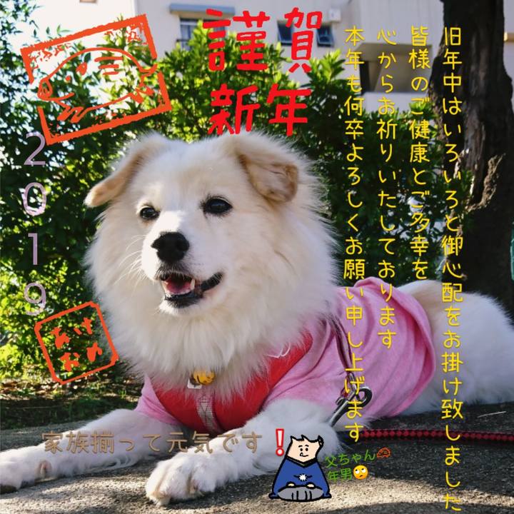 C7e135d3 44b8 48eb 9d49 e0914adf1e49 1546268611587