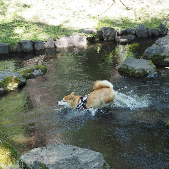 C7e14815 cf48 4307 80ee 467e093597b1 1533036516327