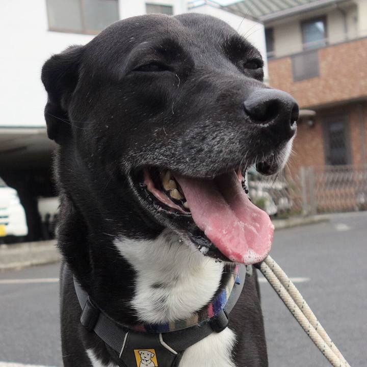 C7e15efe c533 40a0 9c94 2e9962d37b31 1657064964188