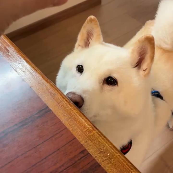 C7e1811e 5de1 4a7a 9719 9efe85915663 1765272442128