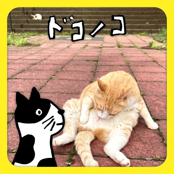 C7e19f0c 60d9 4abe a7b4 5ae10131c8fa 1622873545628