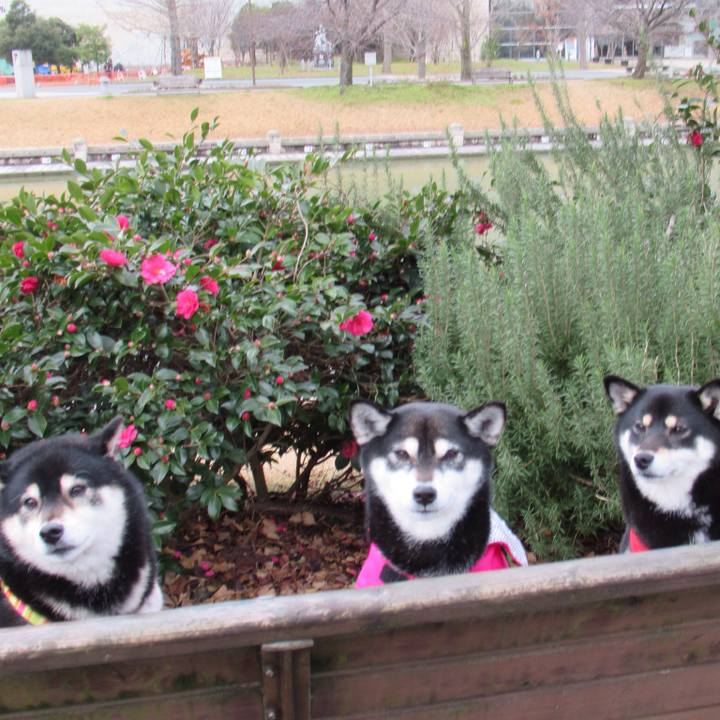 C7e1aaf5 df25 47b4 be59 b76781782e49 1547535543534