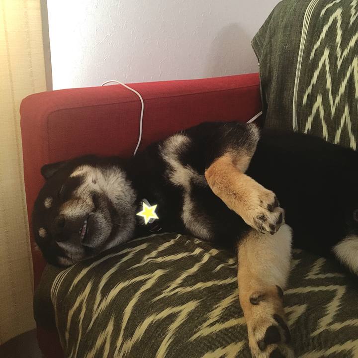 C7e1c7d4 627d 487c aabe d519e414d229 1538740350683