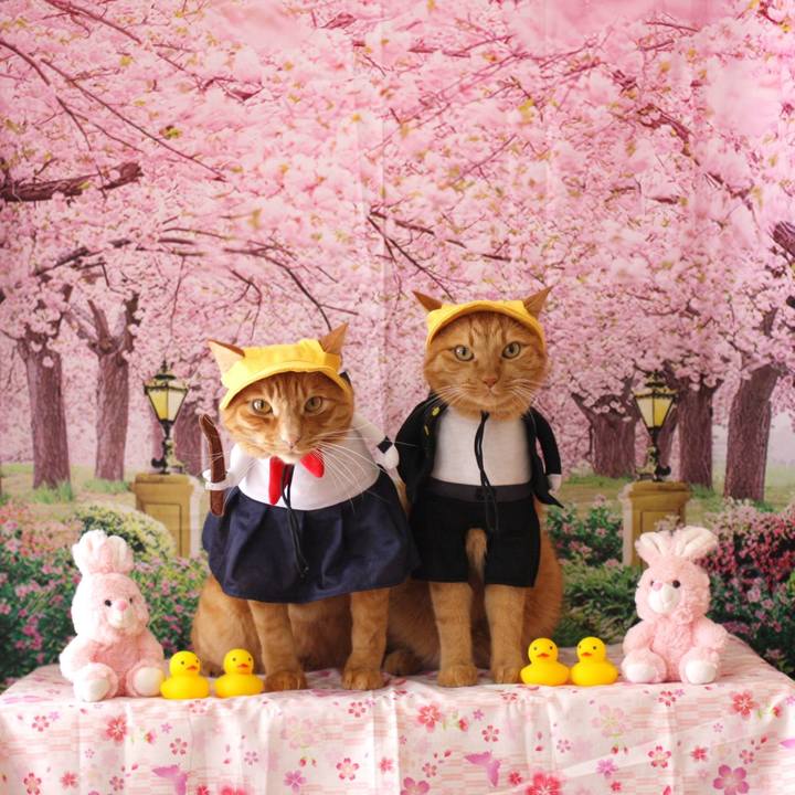 C7e1d2ff 36a7 4330 8eee f6f67f7bc0dd 1775964643321