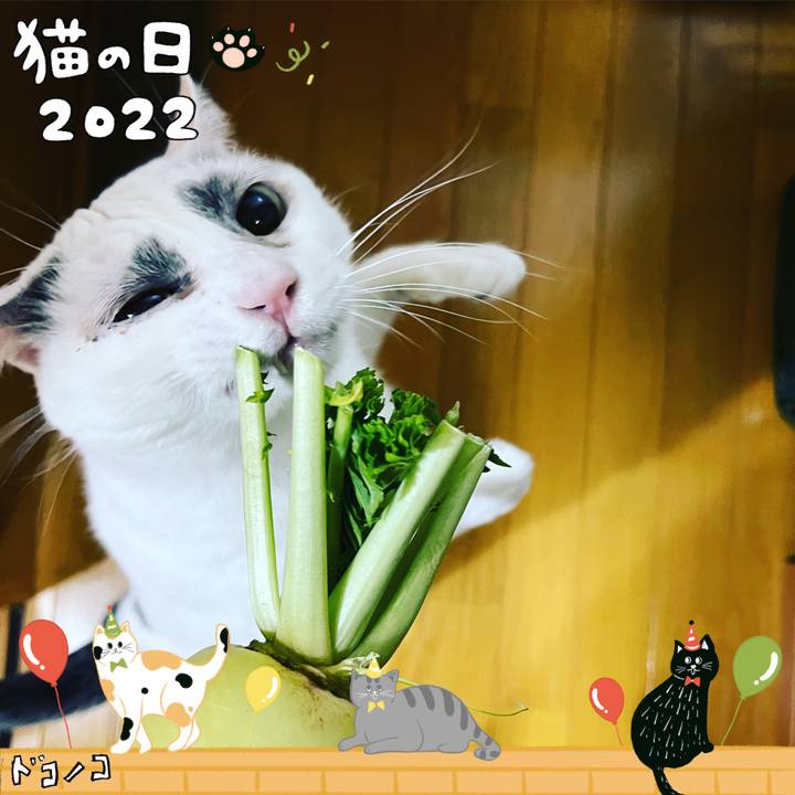 C7e1d445 bd33 4fec 95cf 1c7066ddba9e 1645514993335