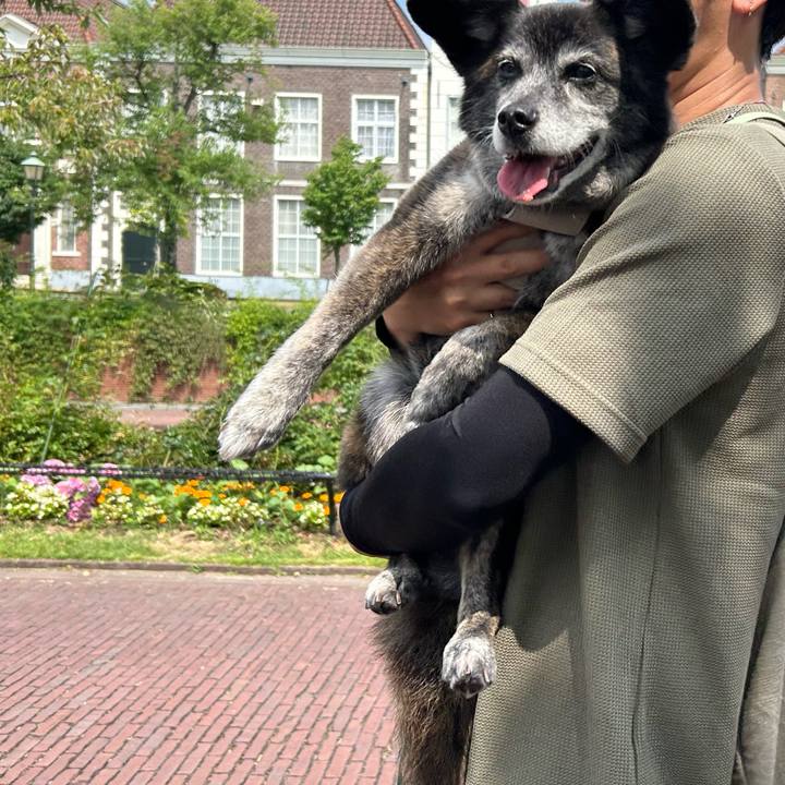 C7e1e9c2 9523 48d0 8857 b6e80a70980e 1719198469802