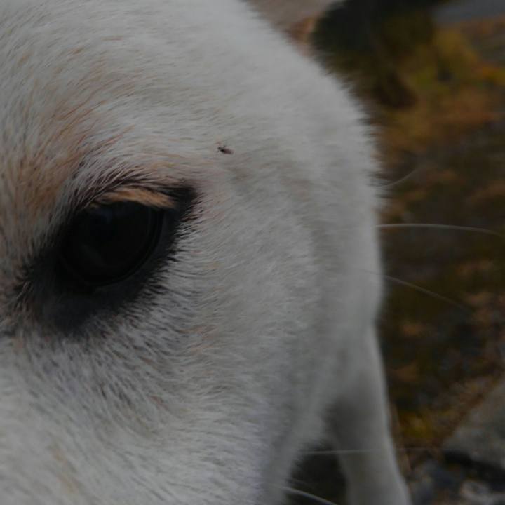 C7e21f67 5cda 48d6 8f9b 631f9de2ae6e 1524241775557