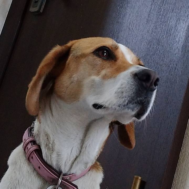 C7e27794 0b80 46d9 8db5 33d52224095c 1591001513714