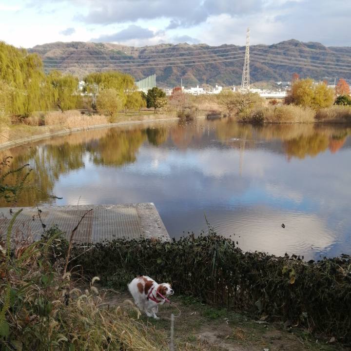 C7e28f70 c2fa 45cf a843 ecc8cb34cb98 1608378106290