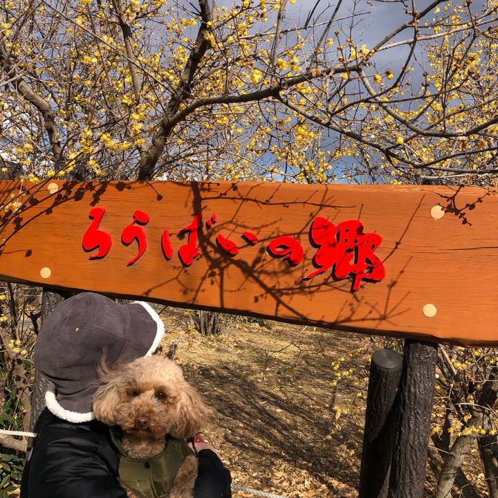 C7e2d0b6 6f1b 4d83 9106 8b968dd56890 1774875180911