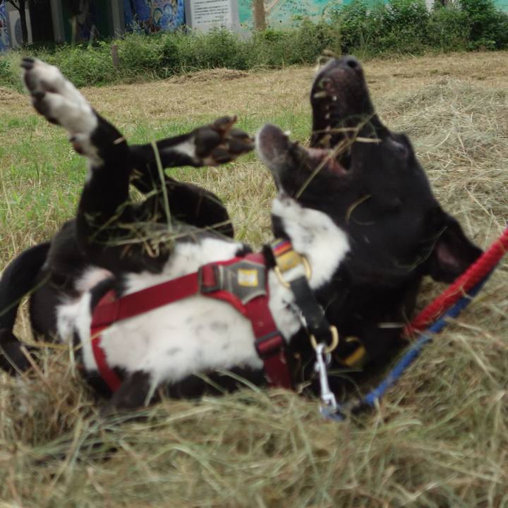 C7e2f892 caf7 44eb 8fe8 a3d8b2cdd01d 1600561260408