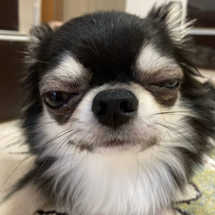 C7e31139 20d4 4f35 8f17 a889ac3e6b18 1622358668572