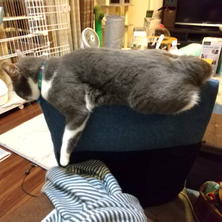 C7e3780b a650 4ff2 848f c9d05a641405 1651328479540