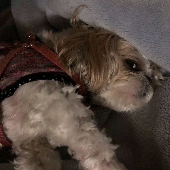 C7e39b73 f2ec 484b abde 01577f730071 1542577596178