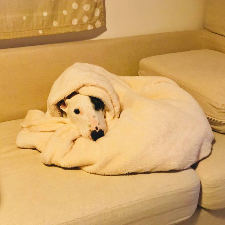 C7e3c4d9 49a6 4254 b754 8a628ec6cba2 1521584507207