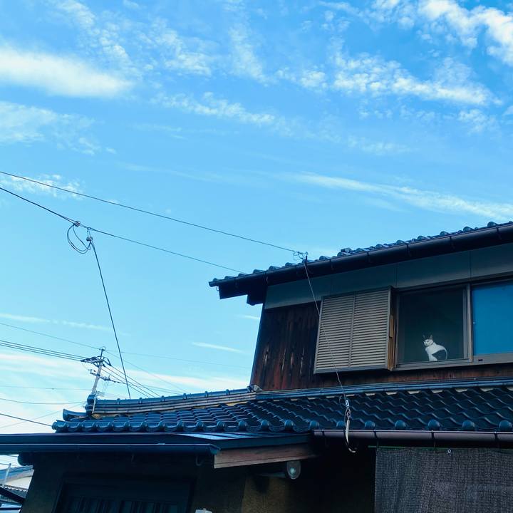 C7e3facf 3037 4d14 b796 e35bc8c220bb 1663154607034