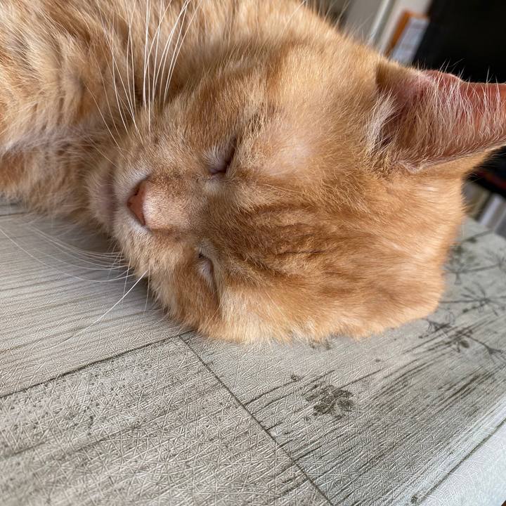 C7e3fe15 4942 4a6a 98c3 8b61e1f80cce 1596422463625