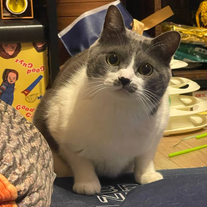 C7e3ff53 fe3b 4961 868a a64faaee12f1 1708616396554