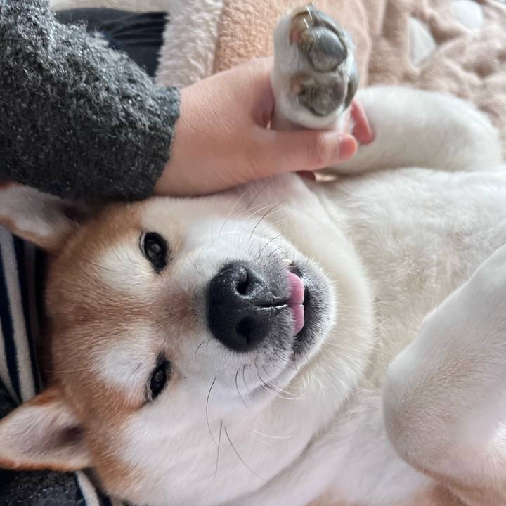 C7e40c7a 566d 475b 8bce e80c9876cdc9 1678847079538