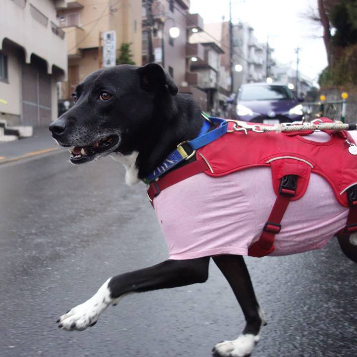 C7e40db5 a398 4ed0 a185 1fade64940c6 1673830754188