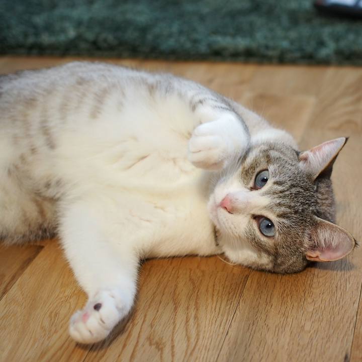 C7e4311b a31c 4ddf 9ec0 c135cf8e3cf7 1557653574095