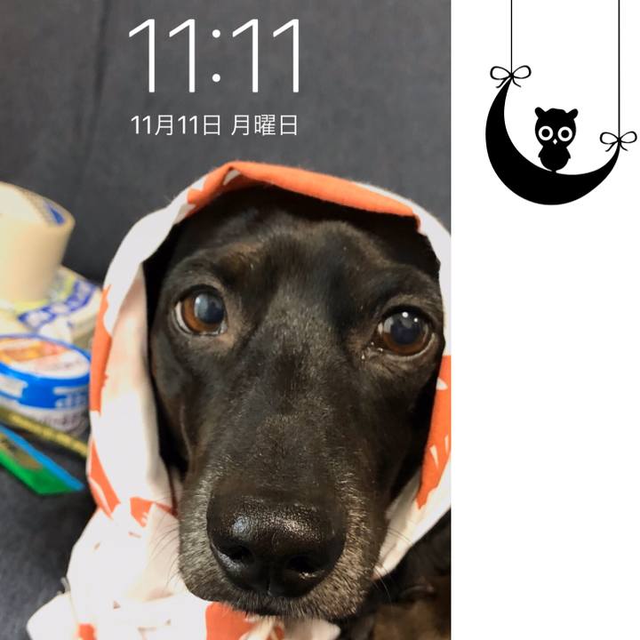 C7e47eb9 ef13 411c b314 b6593df47309 1573482477560