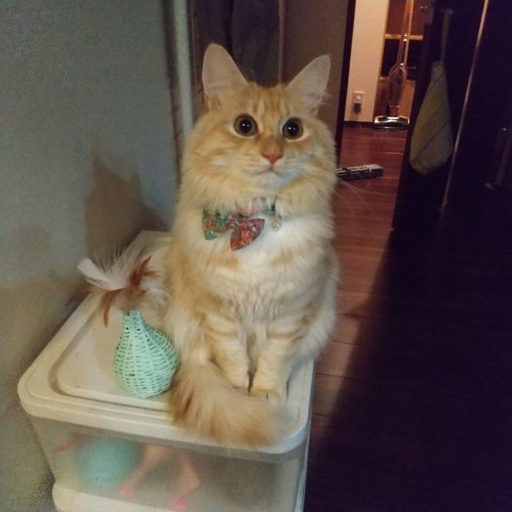 C7e4b4f7 4764 4610 8208 3cb215b61282 1639950549598